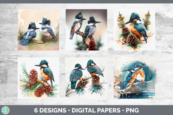 Christmas Kingfisher Backgrounds Digit Illustrations